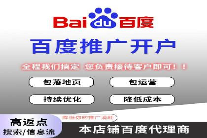 成功SEM服务案例分析报告